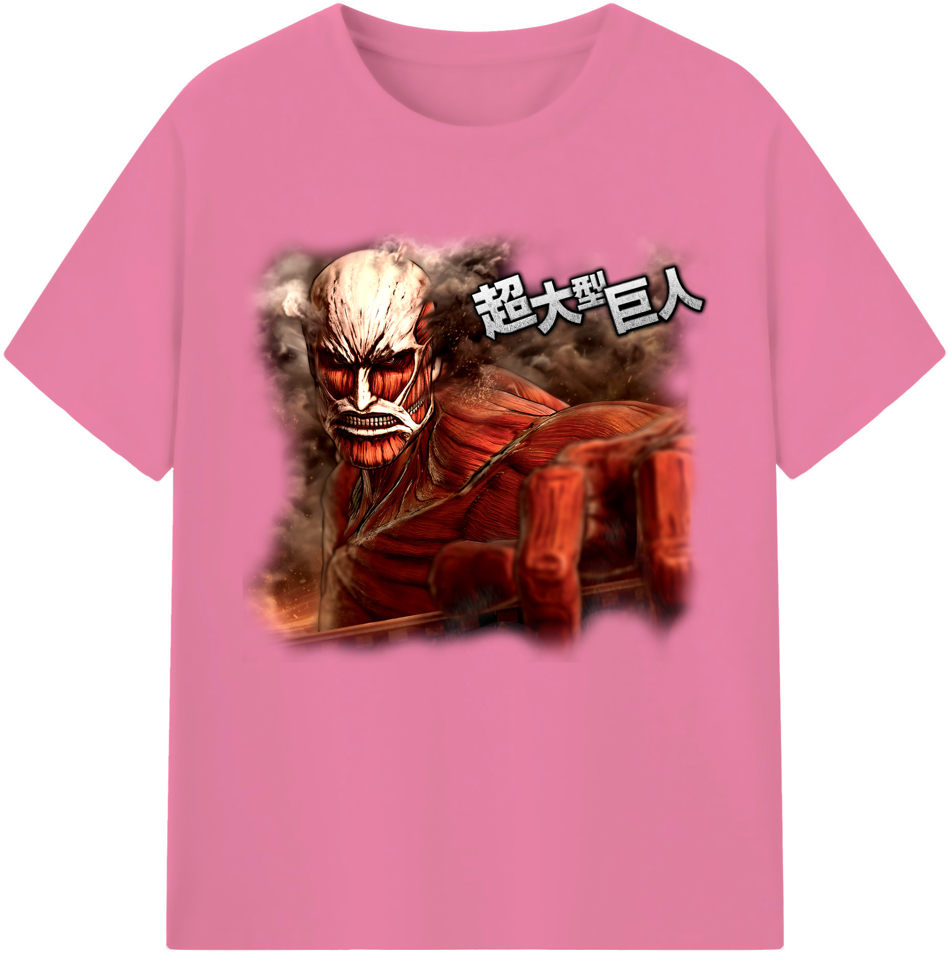 （画像用） 進撃の巨人 Attack on Titan 綿100％半袖Tシャツ（フロントプリント）
